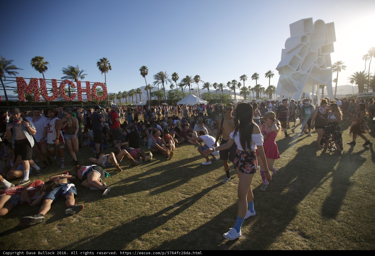 Festival Fun in the Sun