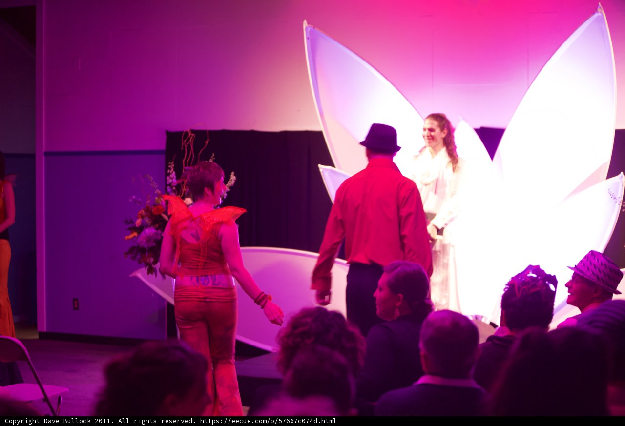 Butterfly on Stage