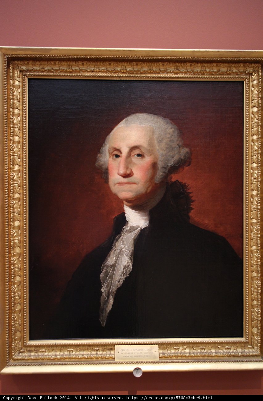 The Presidential Portrait of George Washington