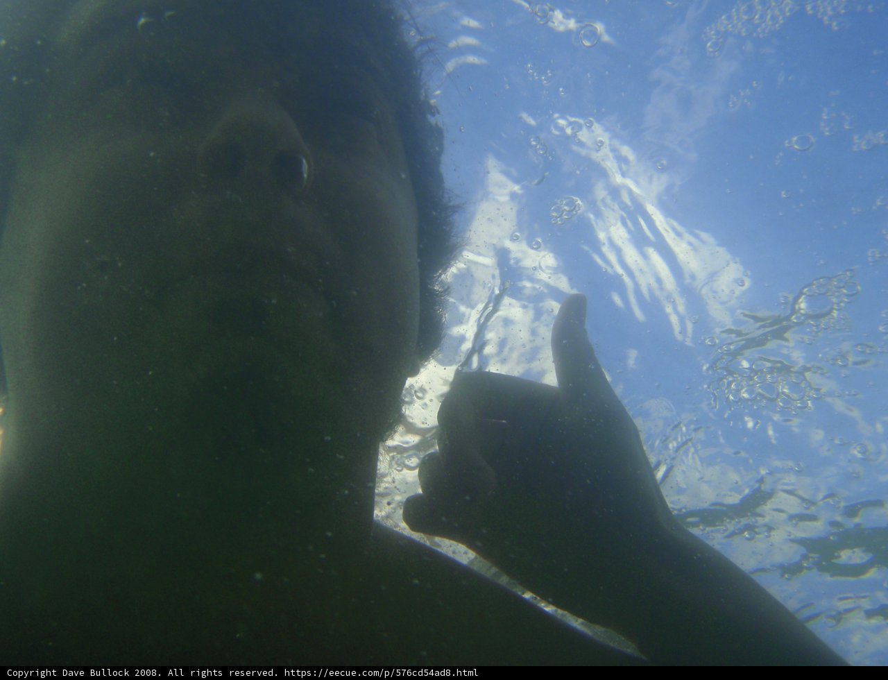 Diving in Hawaii