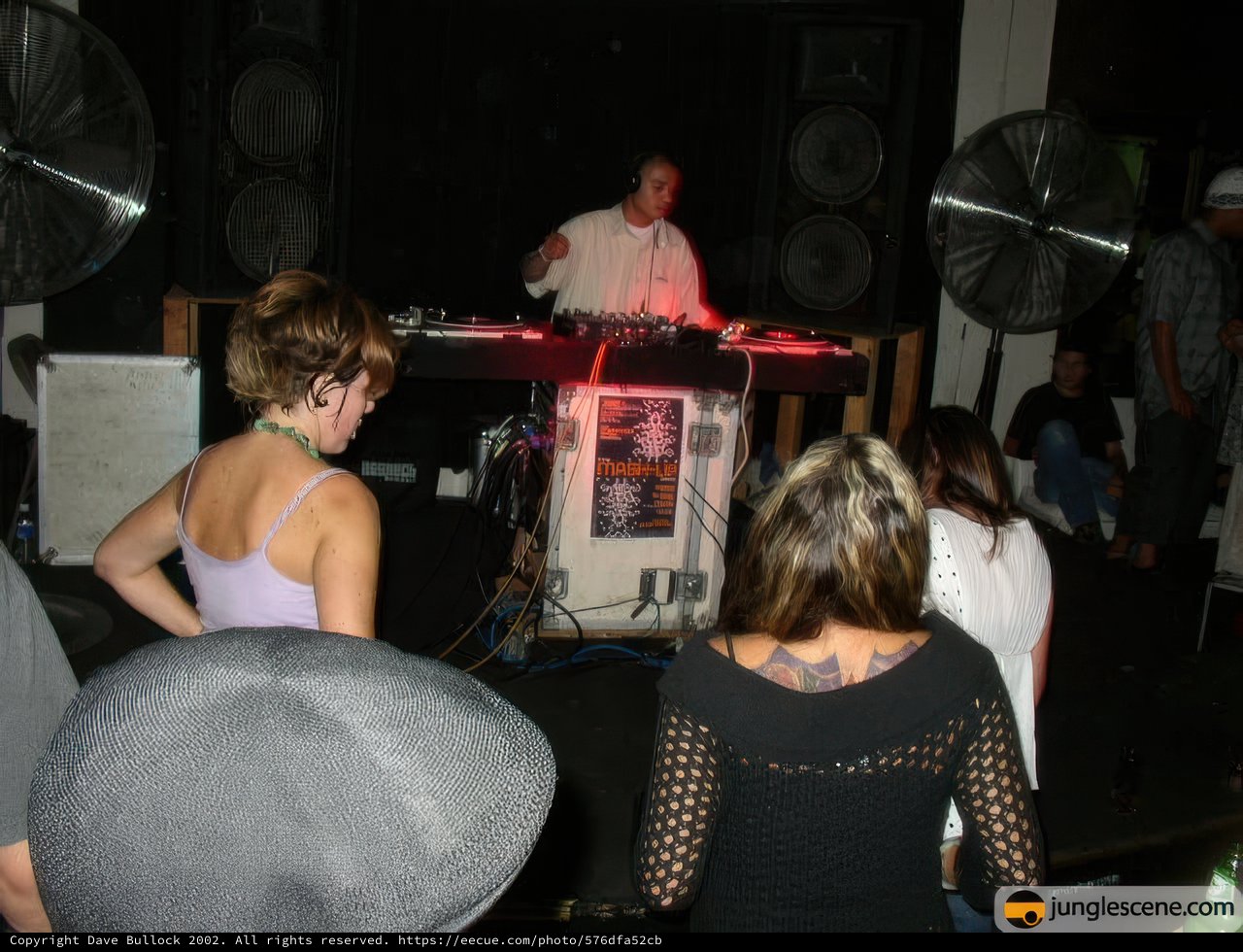 Live music at a party