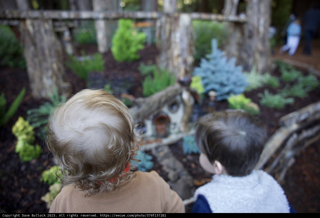 Nature's Wonder Through Young Eyes