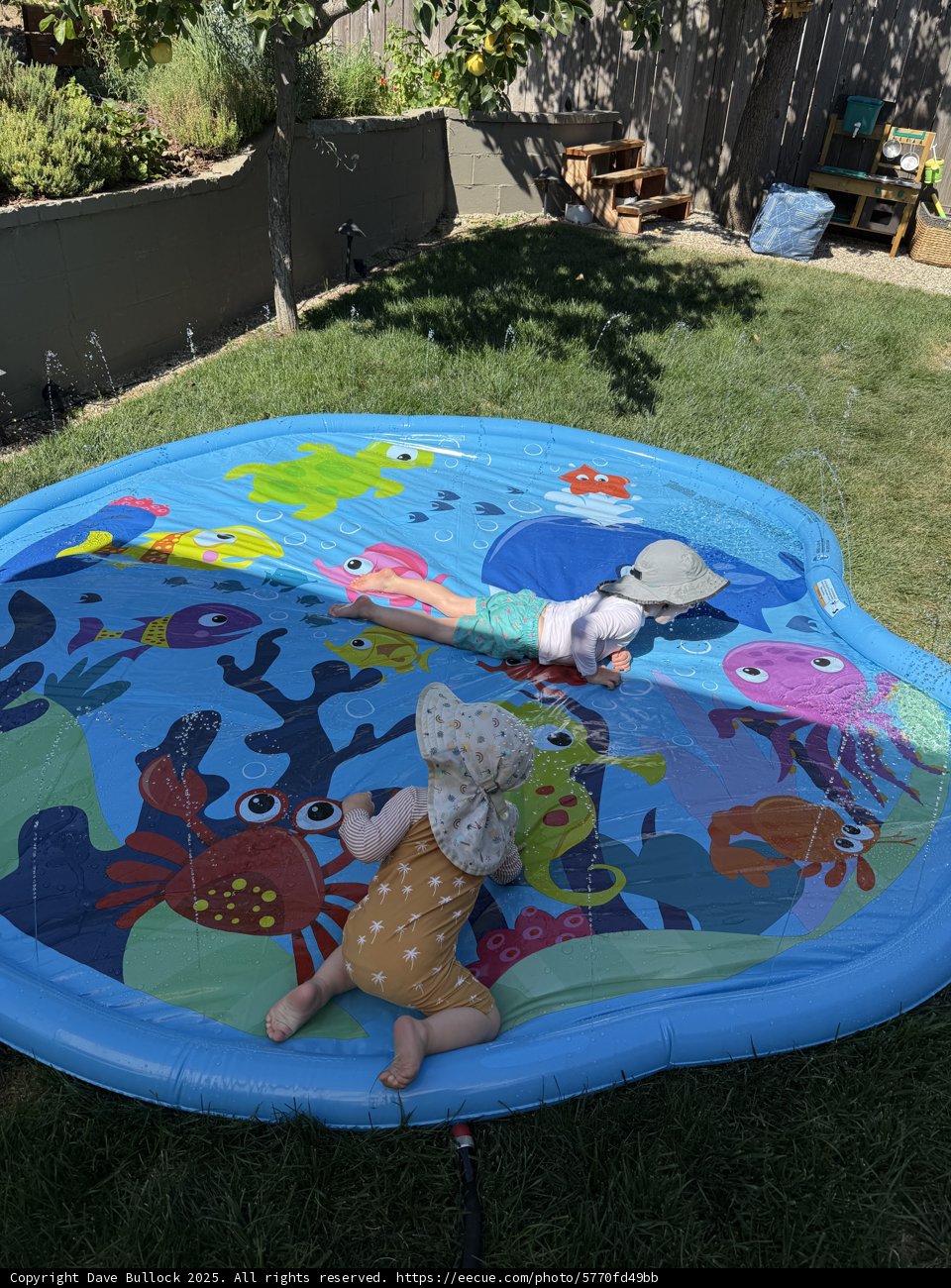Splashes of Joy