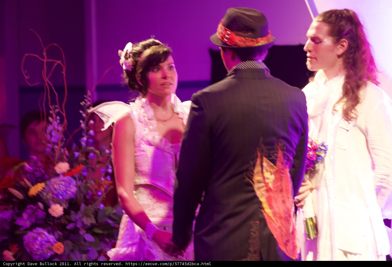 An Elegant Wedding in a Purple Wonderland
