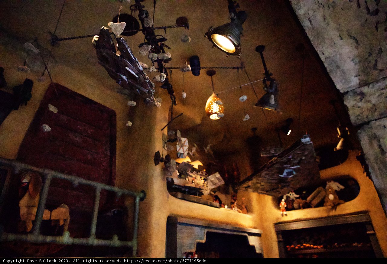 Magical Ceiling of Curiosities