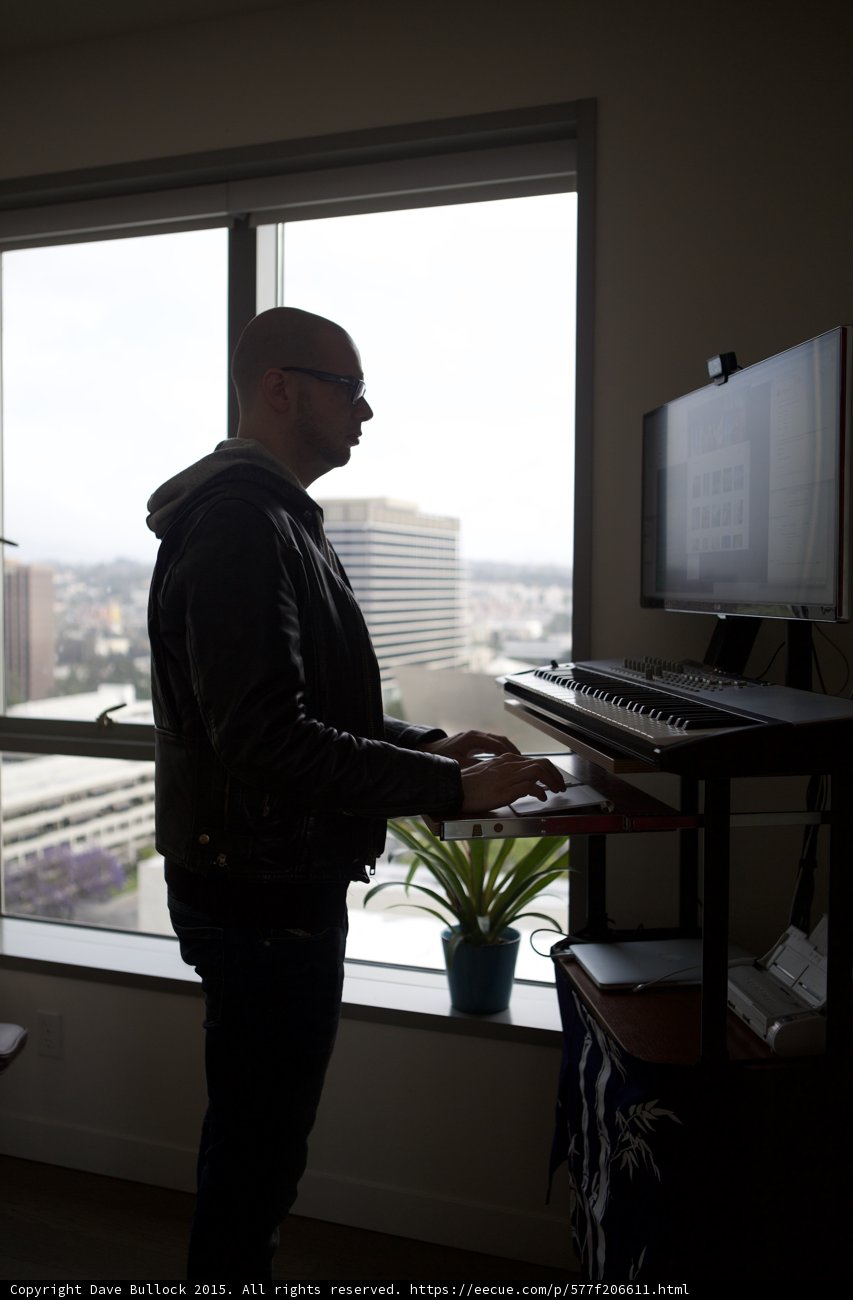 Focused Developer Portrait