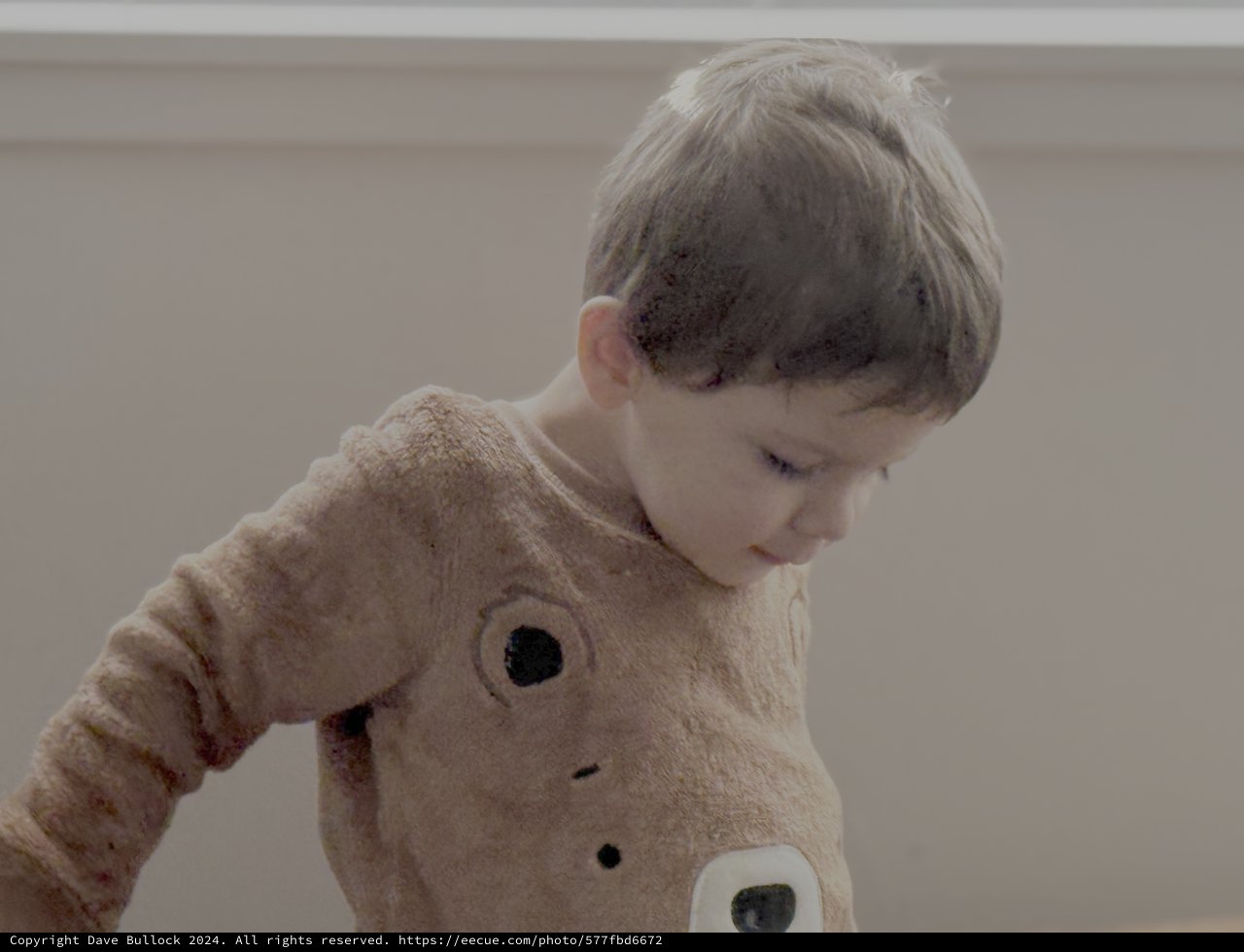 Toddler in Cozy Animal Hoodie Looking Down