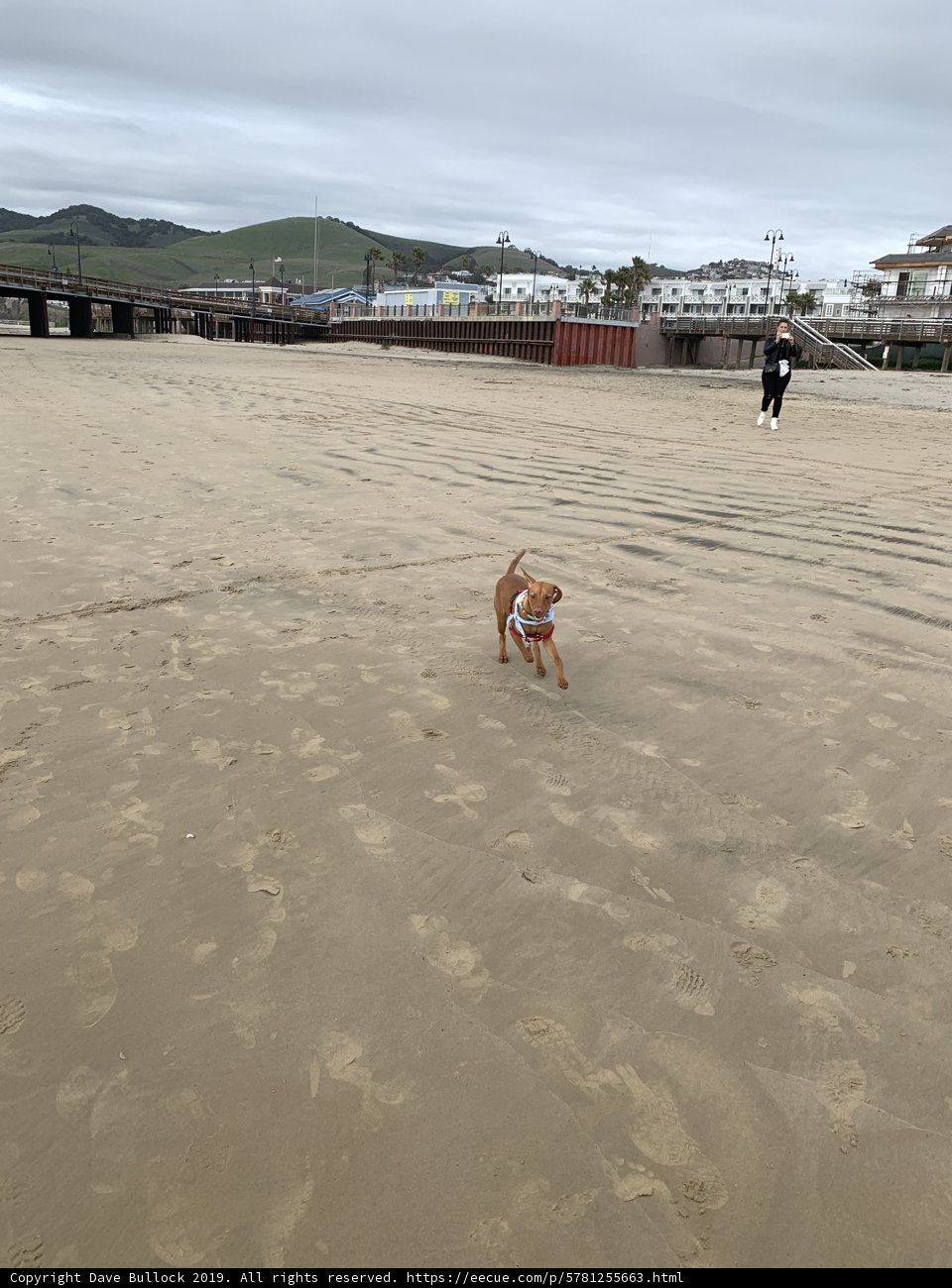 Summer Fun at Pismo Beach