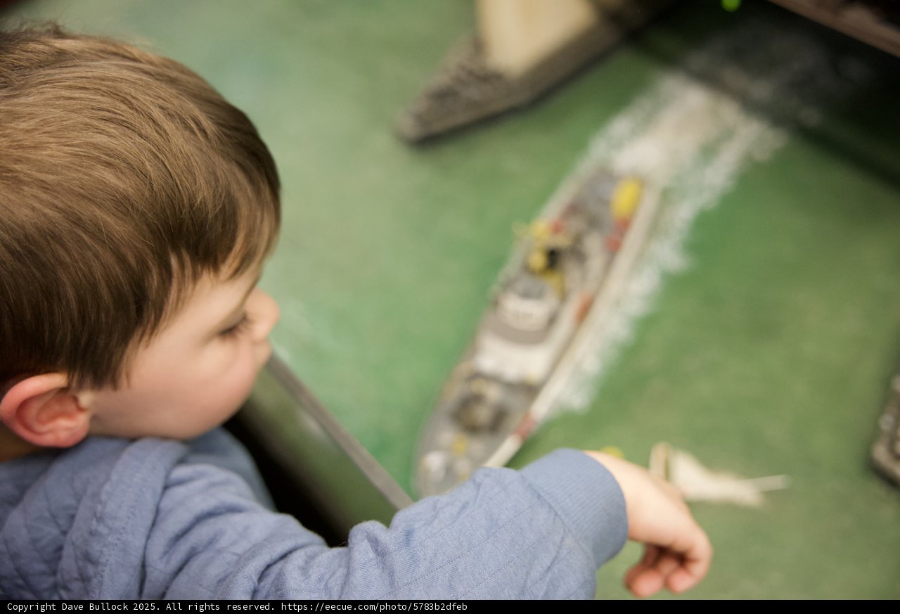 Captivated by the Miniature Seas