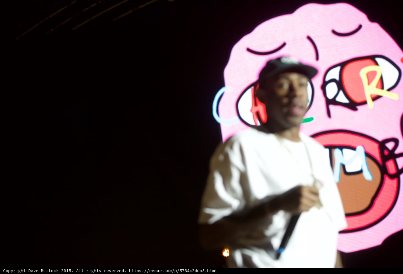 Tyler, The Creator and Fans