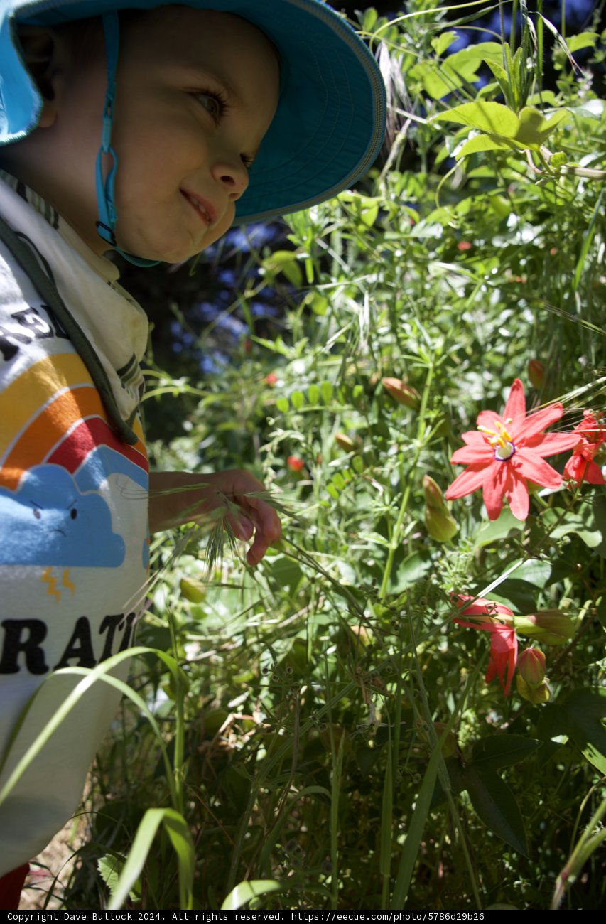 A Young Explorer in the Garden