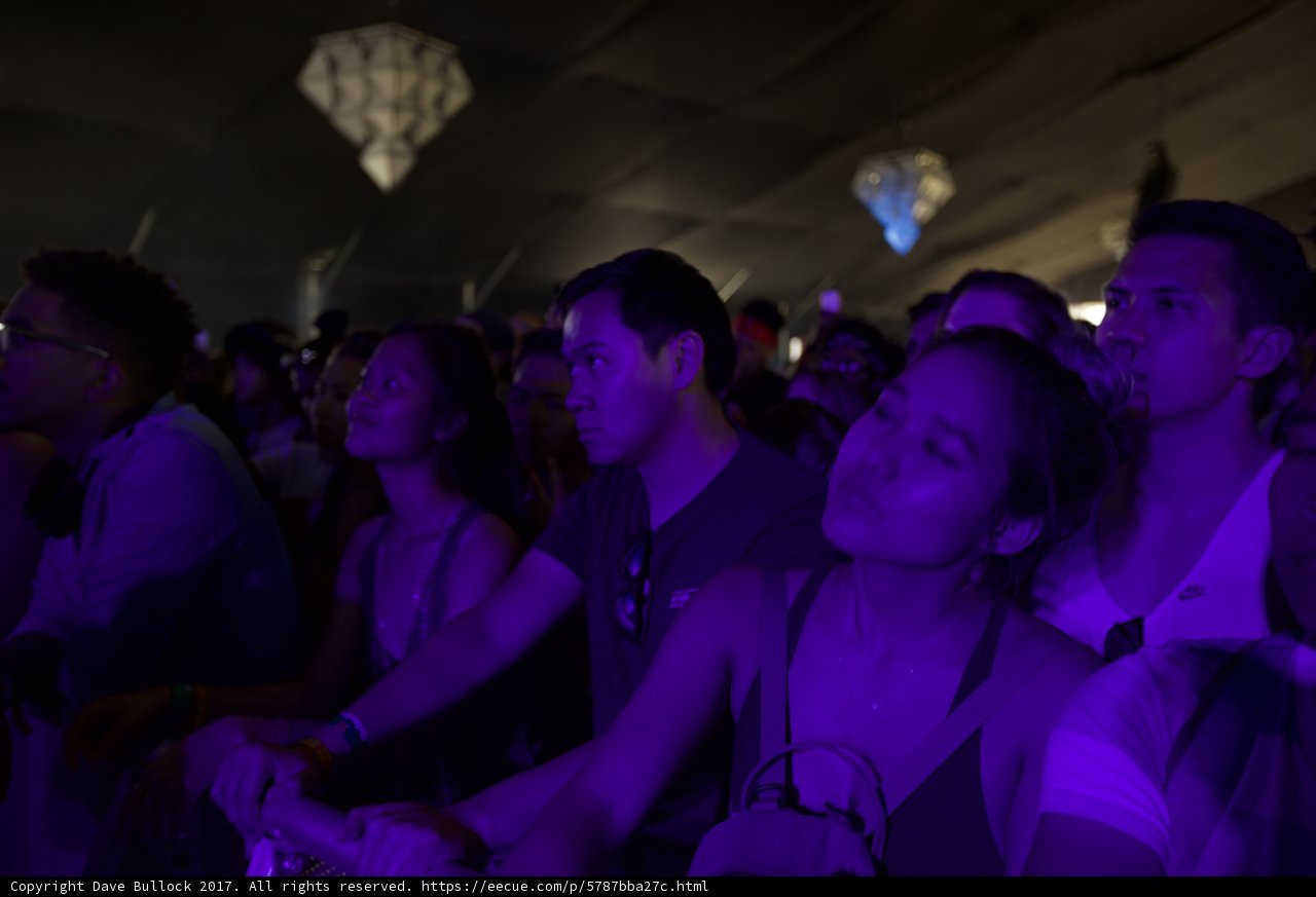 Purple Haze Nightlife