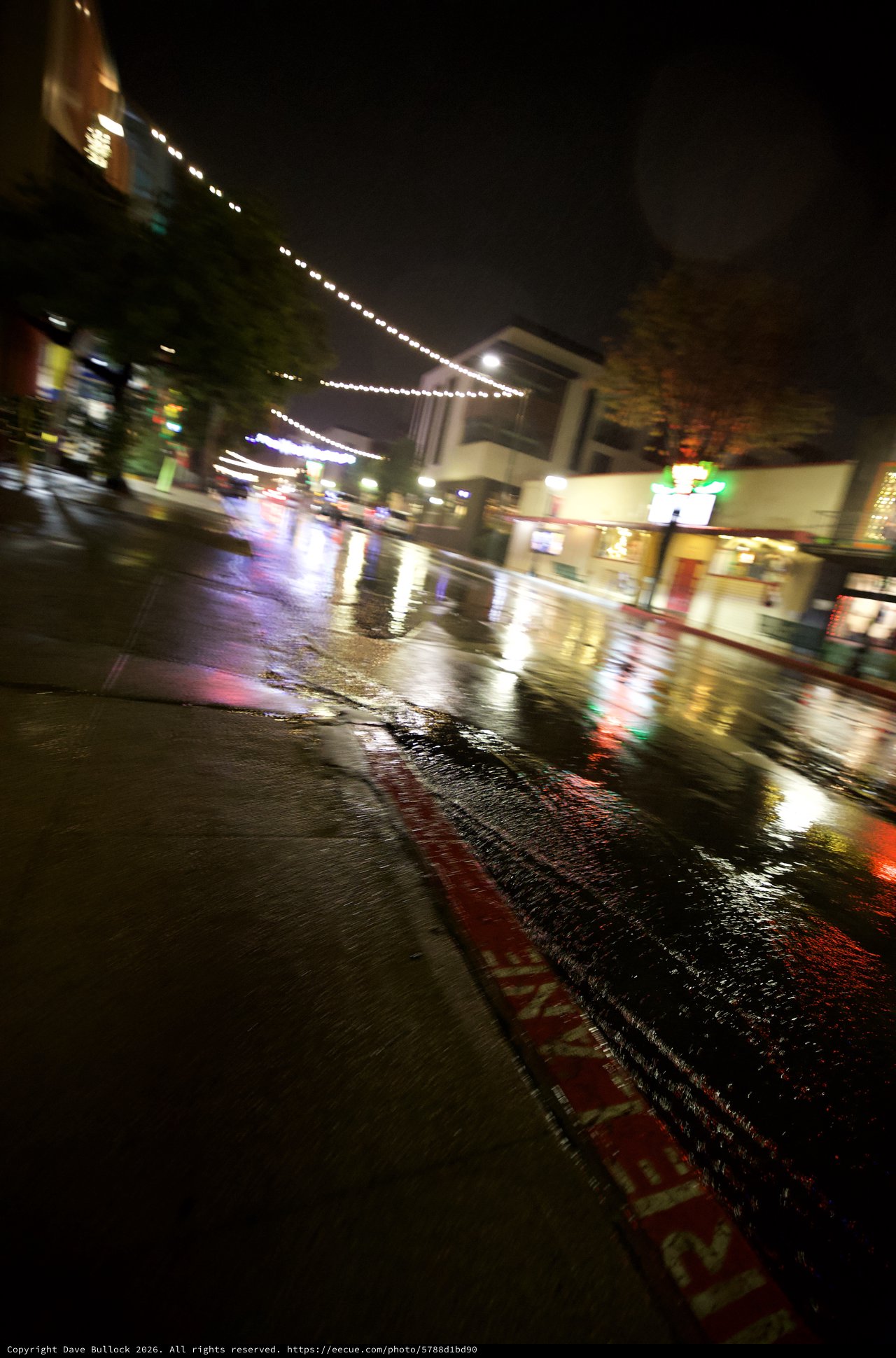 Rain-Slicked City Street at Night with String Lights