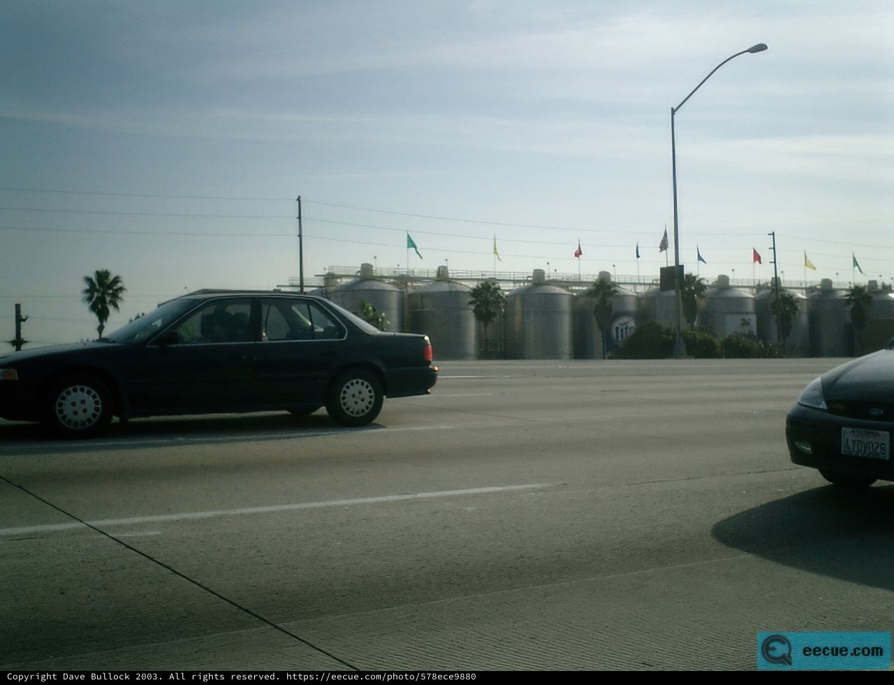 Driving on the Freeway