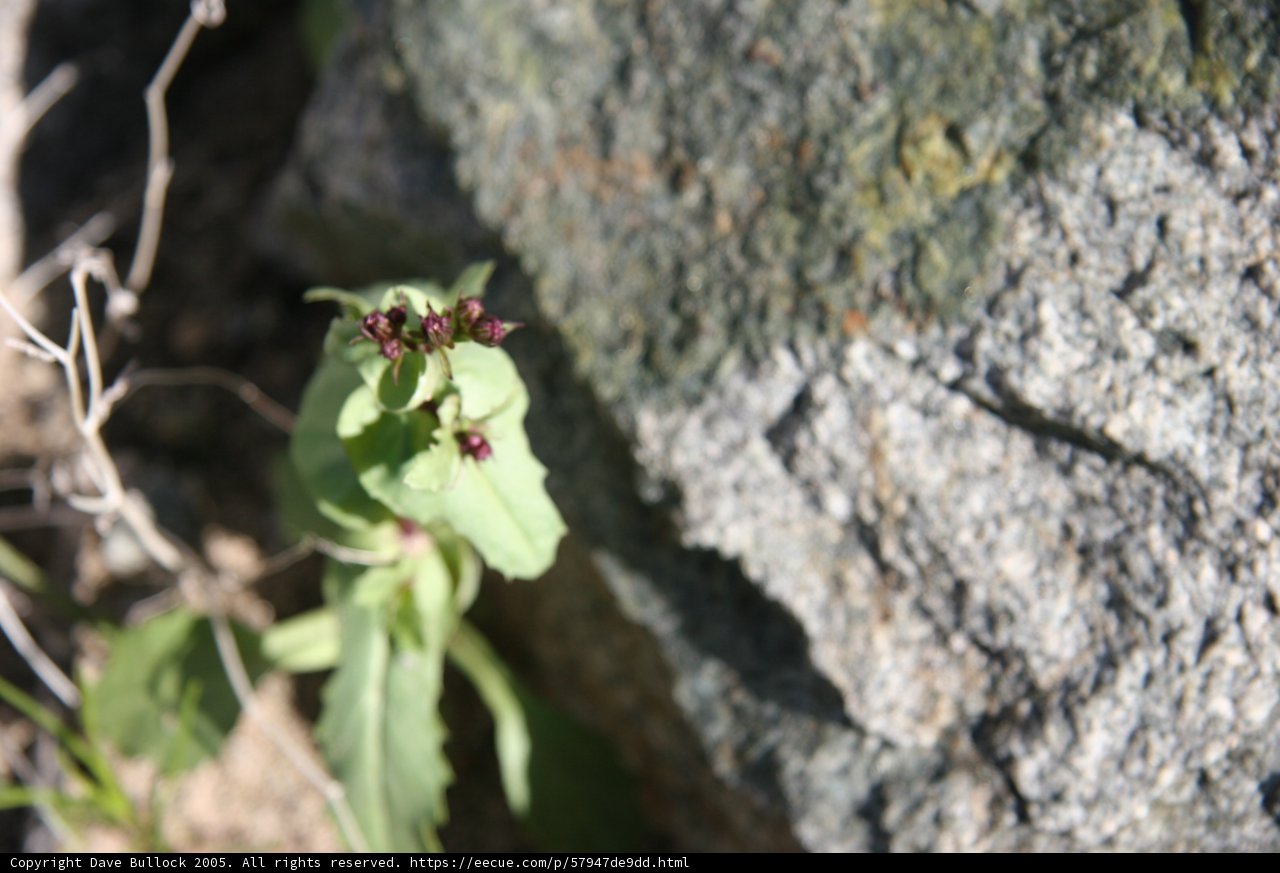 Resilience of Life