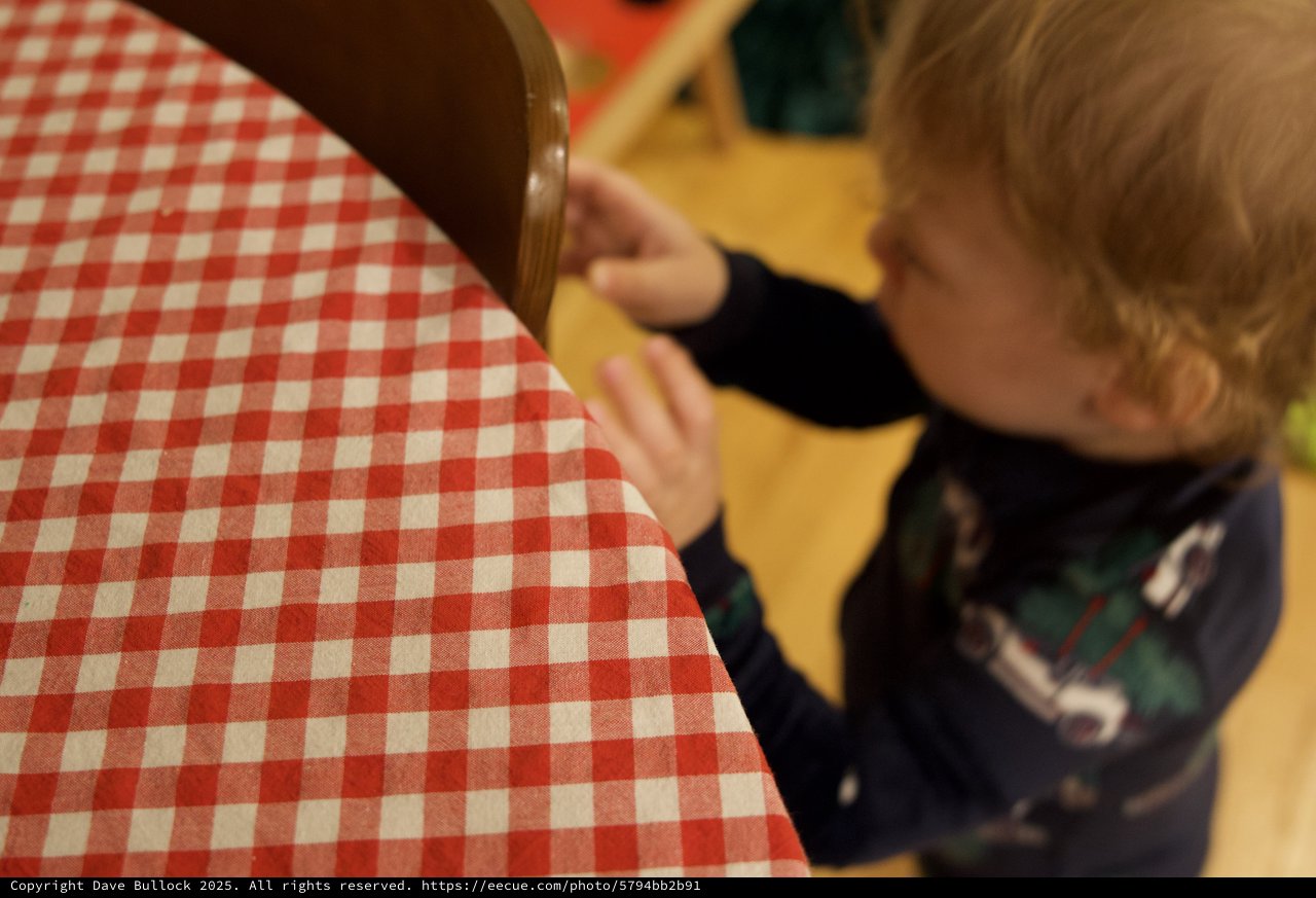 Young Child Reaching for Red Checkered Chair Cushion