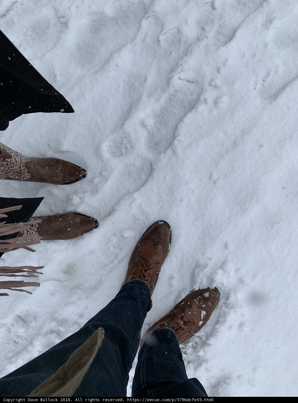 Winter Wonderland
