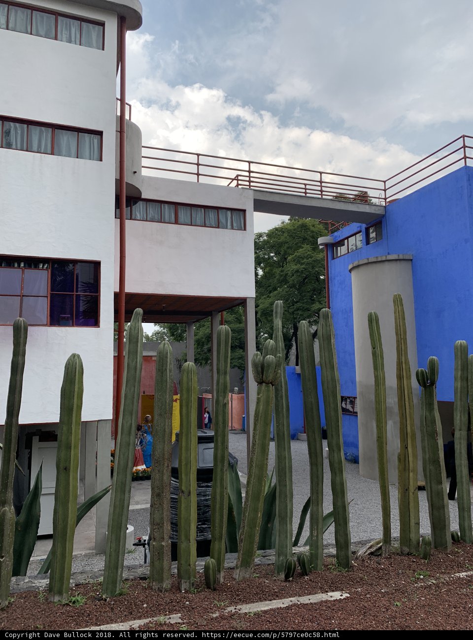 Blue and White Building with Cactus