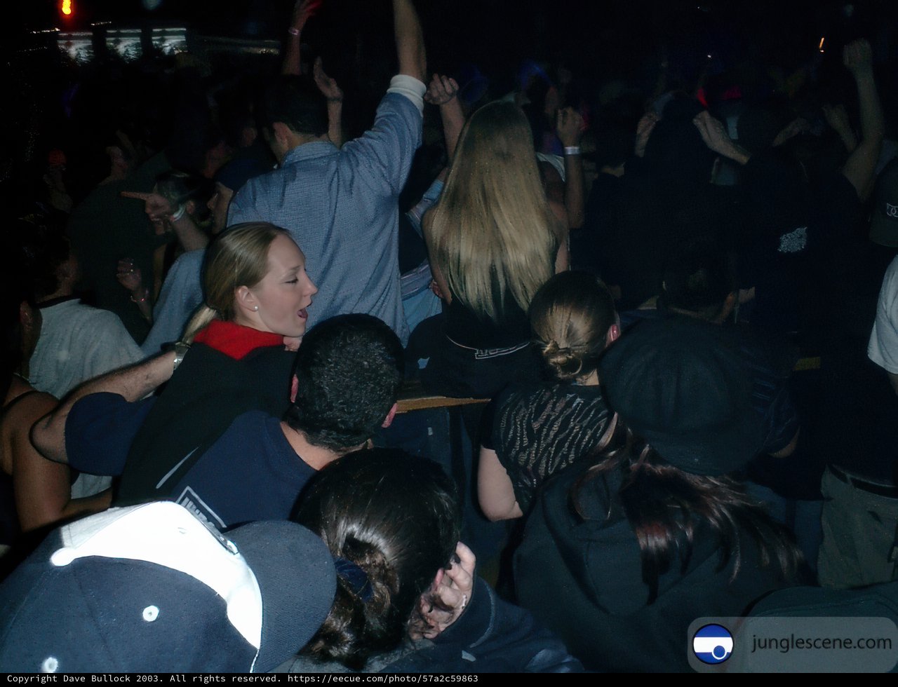 Nightclub Crowd Goes Wild