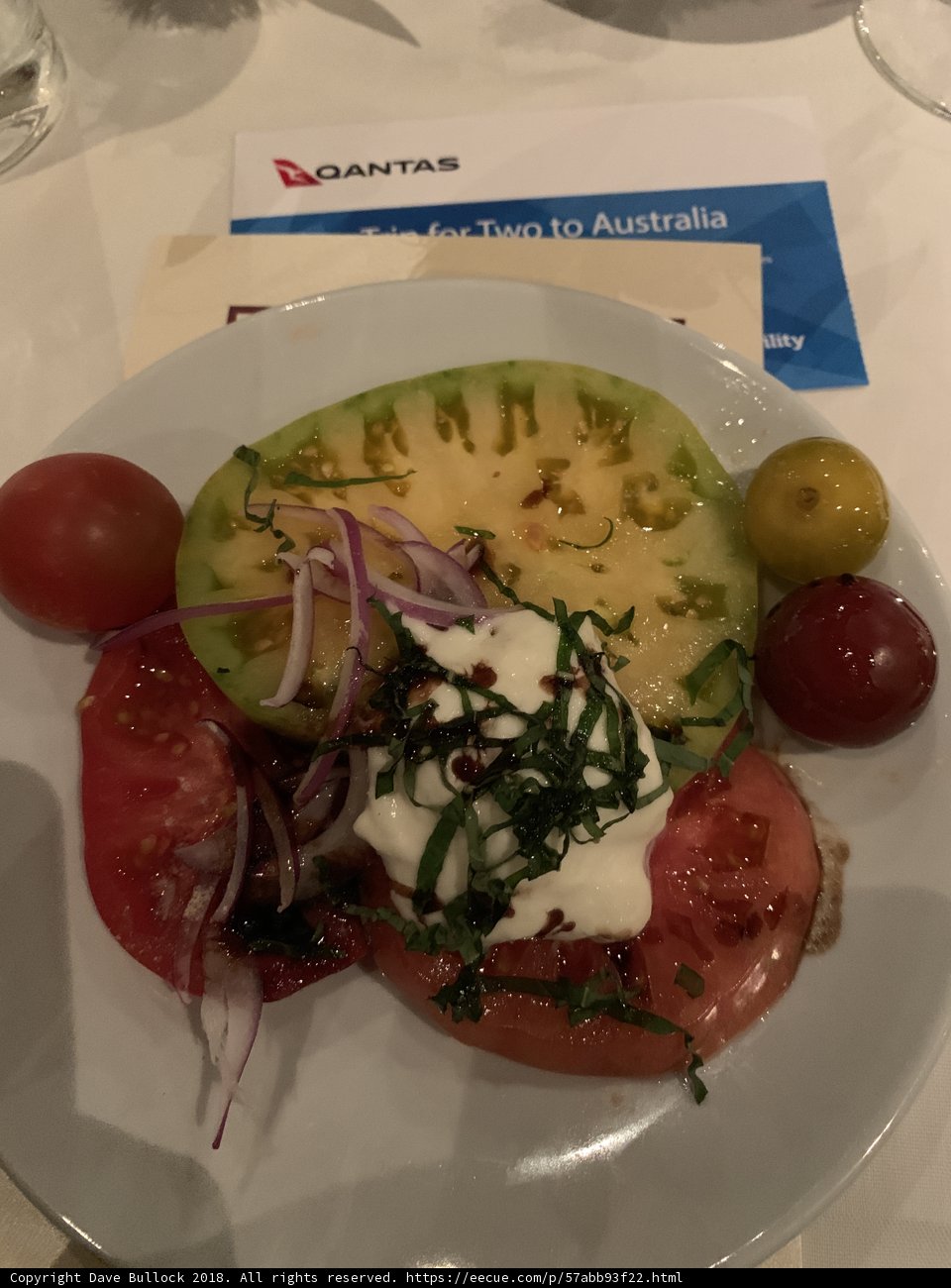 Delicious Tomato and Onion Plate