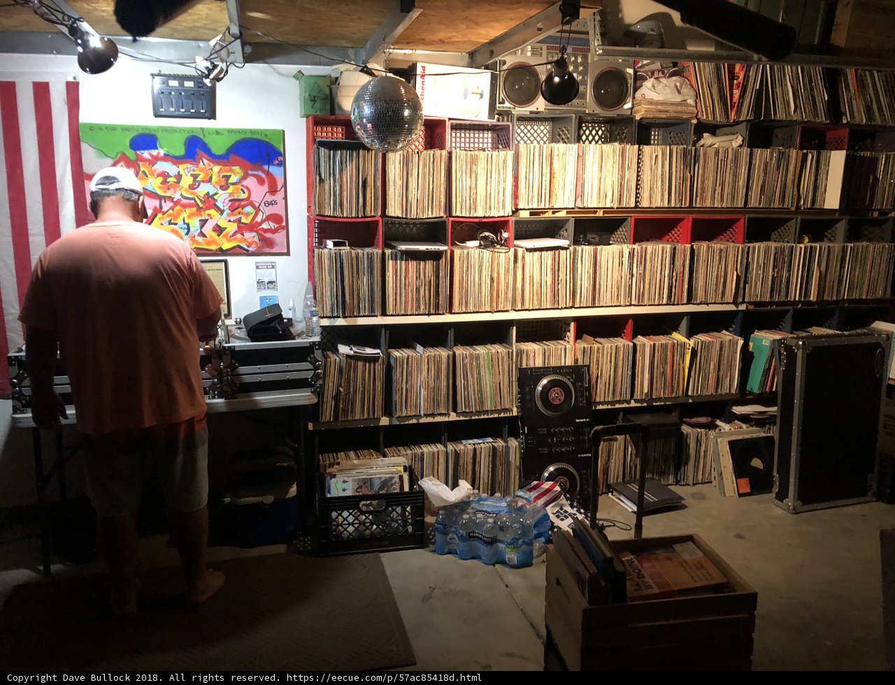 The Record Collector's Haven