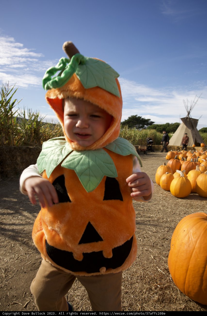 Our Little Pumpkin: Wesley's First Halloween