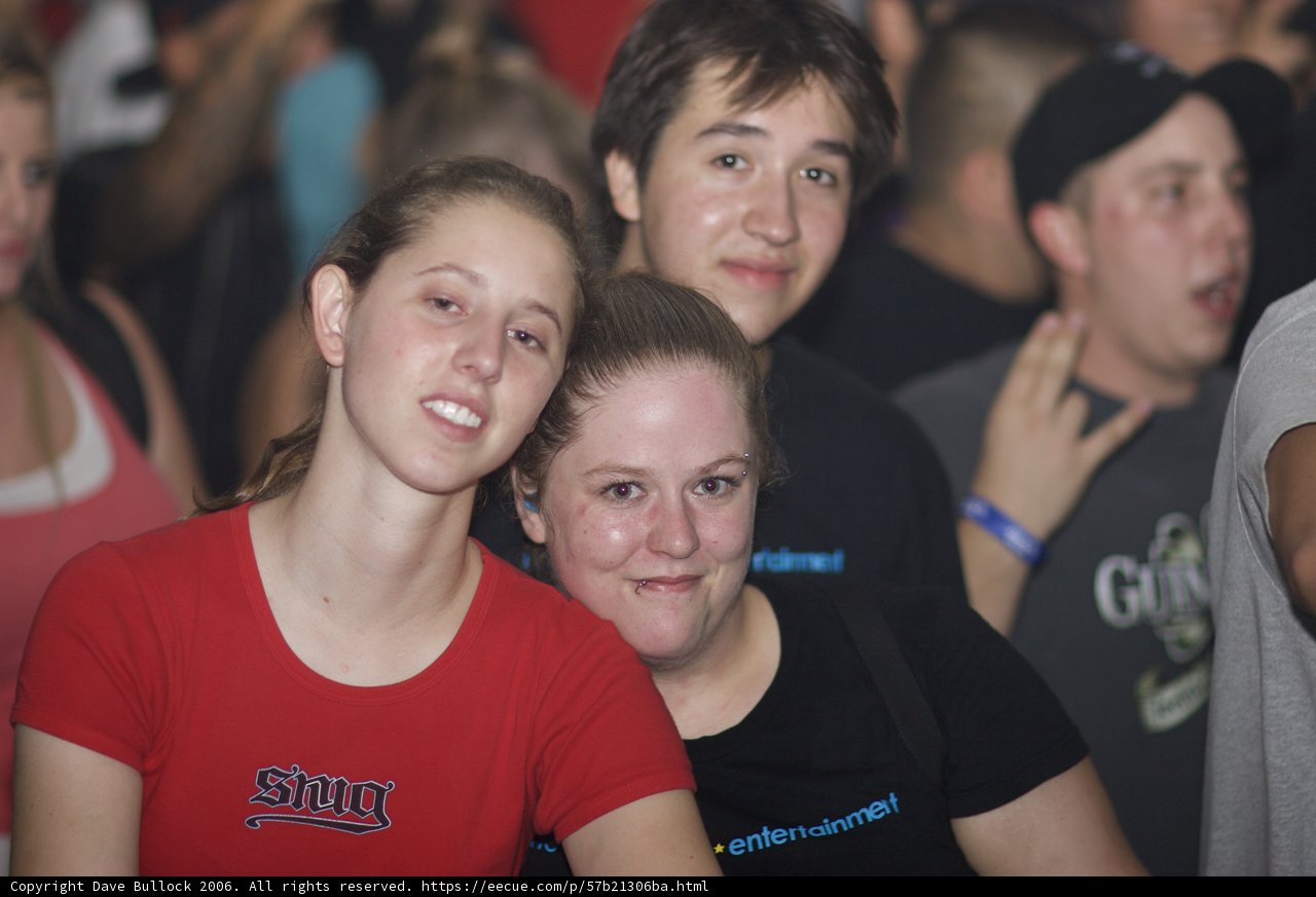 Concert Crowd