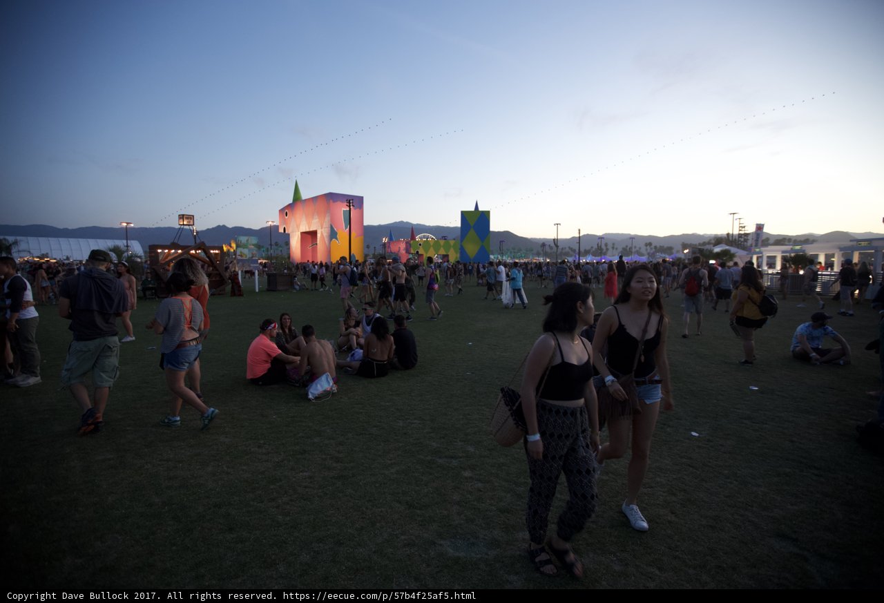 Festive Night at Coachella