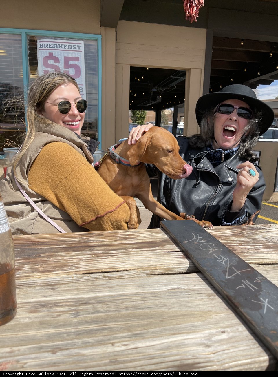 Table Talk with Rhoda, Lori, and Their Furry Friends