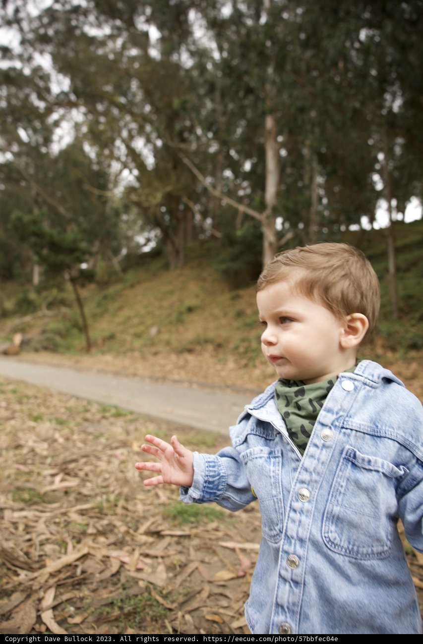 Denim Days: Wesley's 5th Birthday Adventure