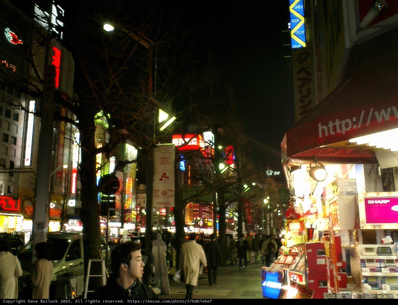 Nightlife in the Metropolis