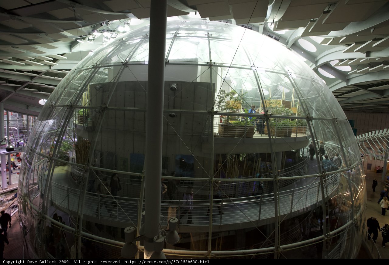 Inside the Glass Sphere