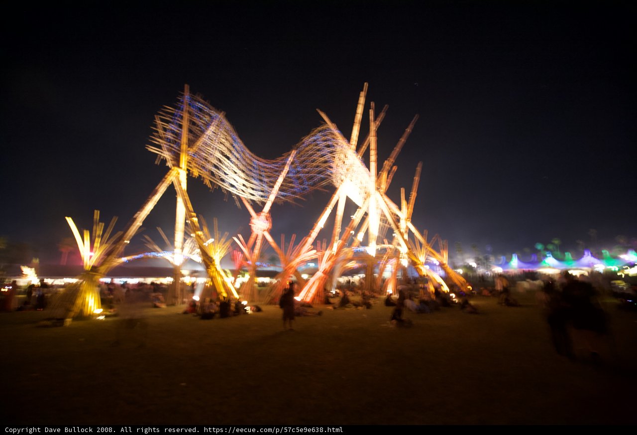 Ferris Wheel Fun at Coachella