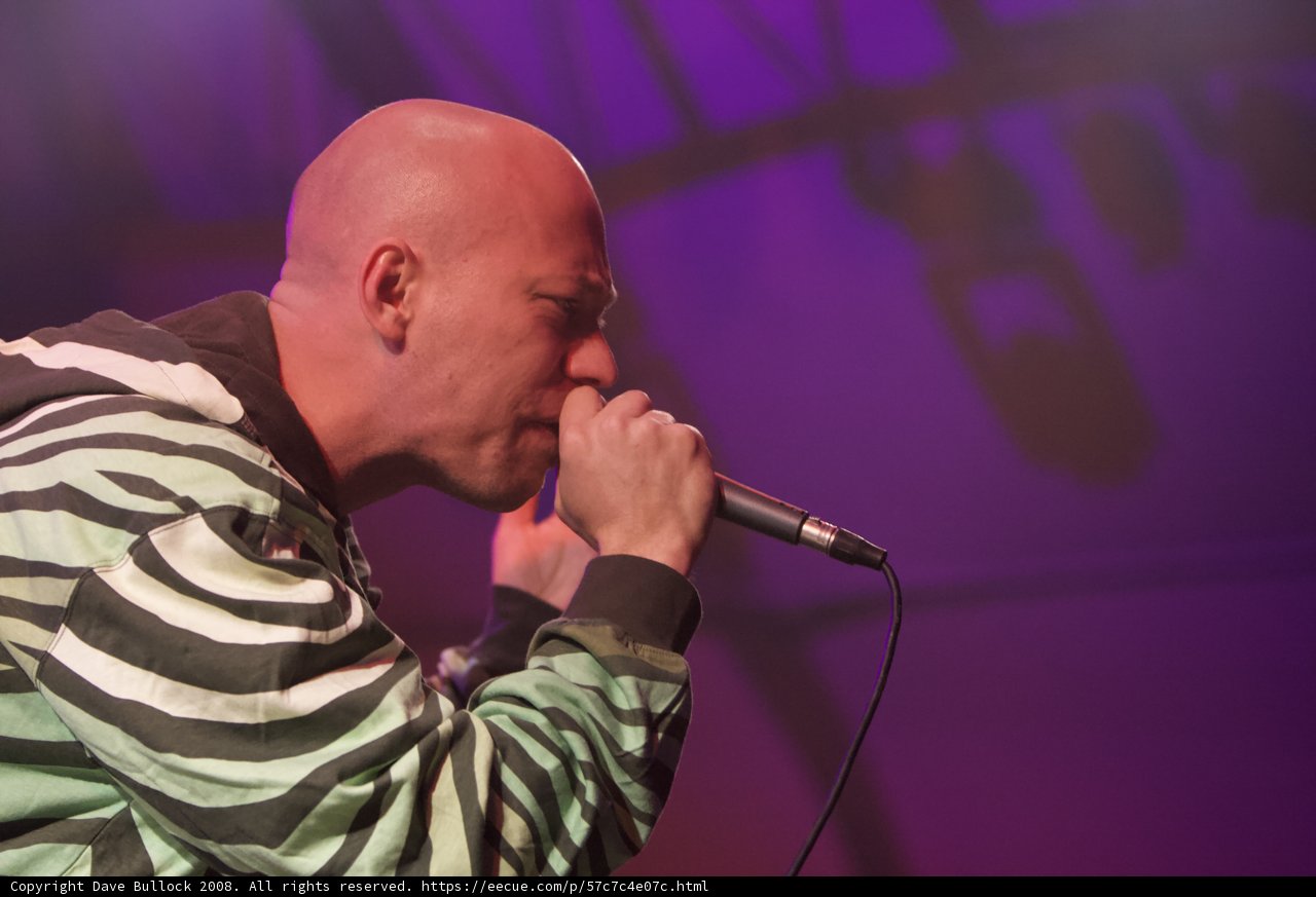 Rocking Out in Zebra Print