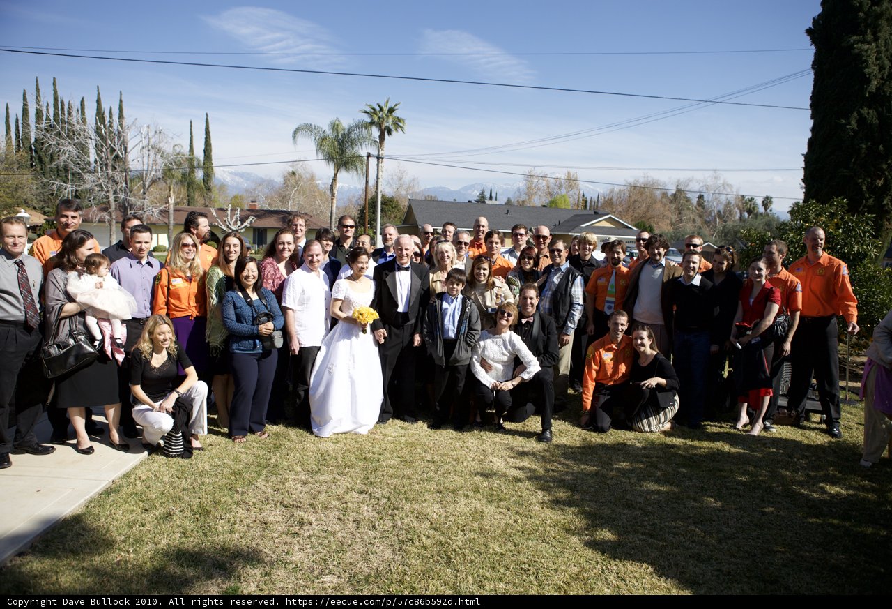 Wedding Party Poses Under a Clear Blue Sky