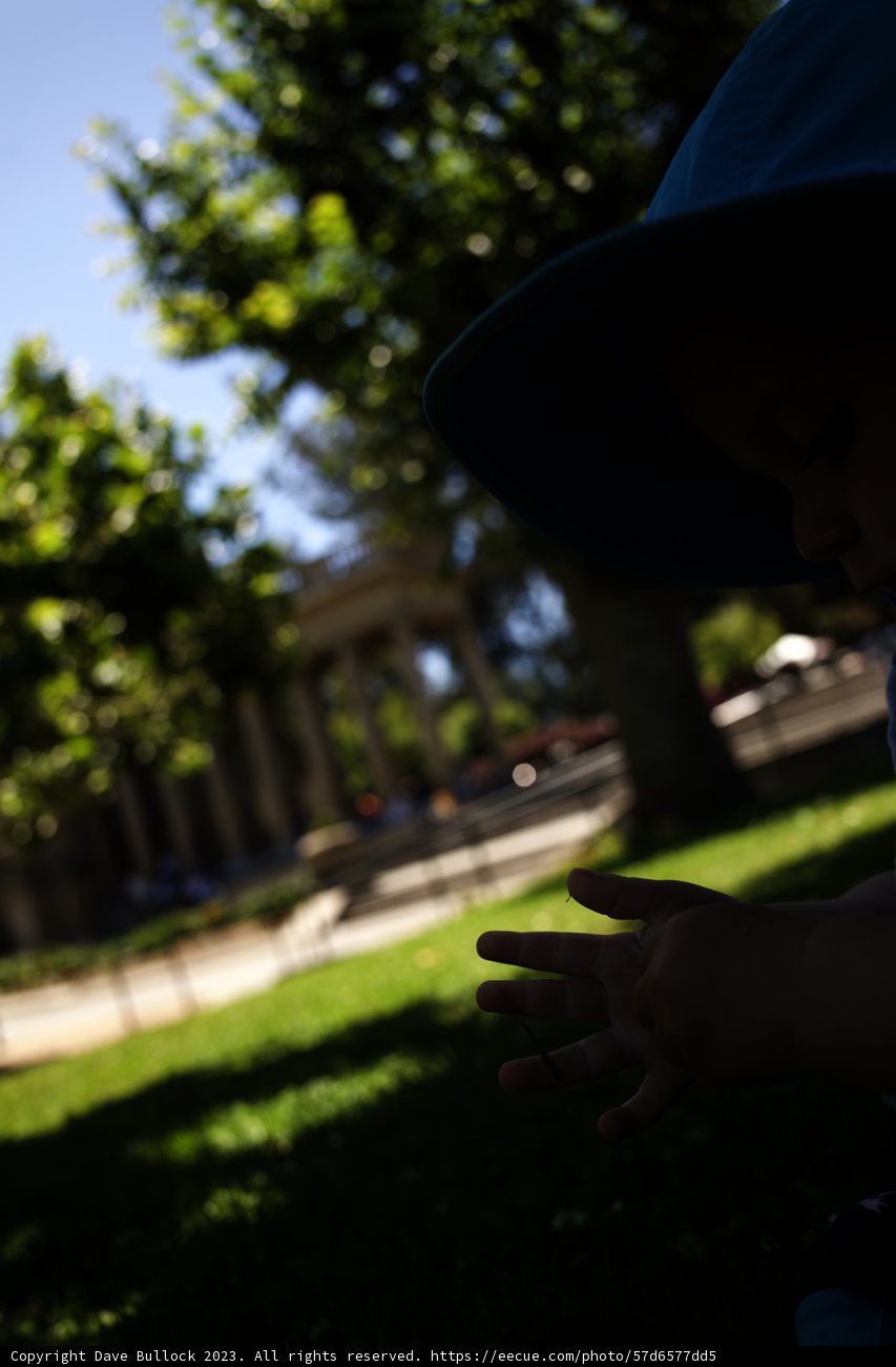 Sun-Soaked Baby: California 2023