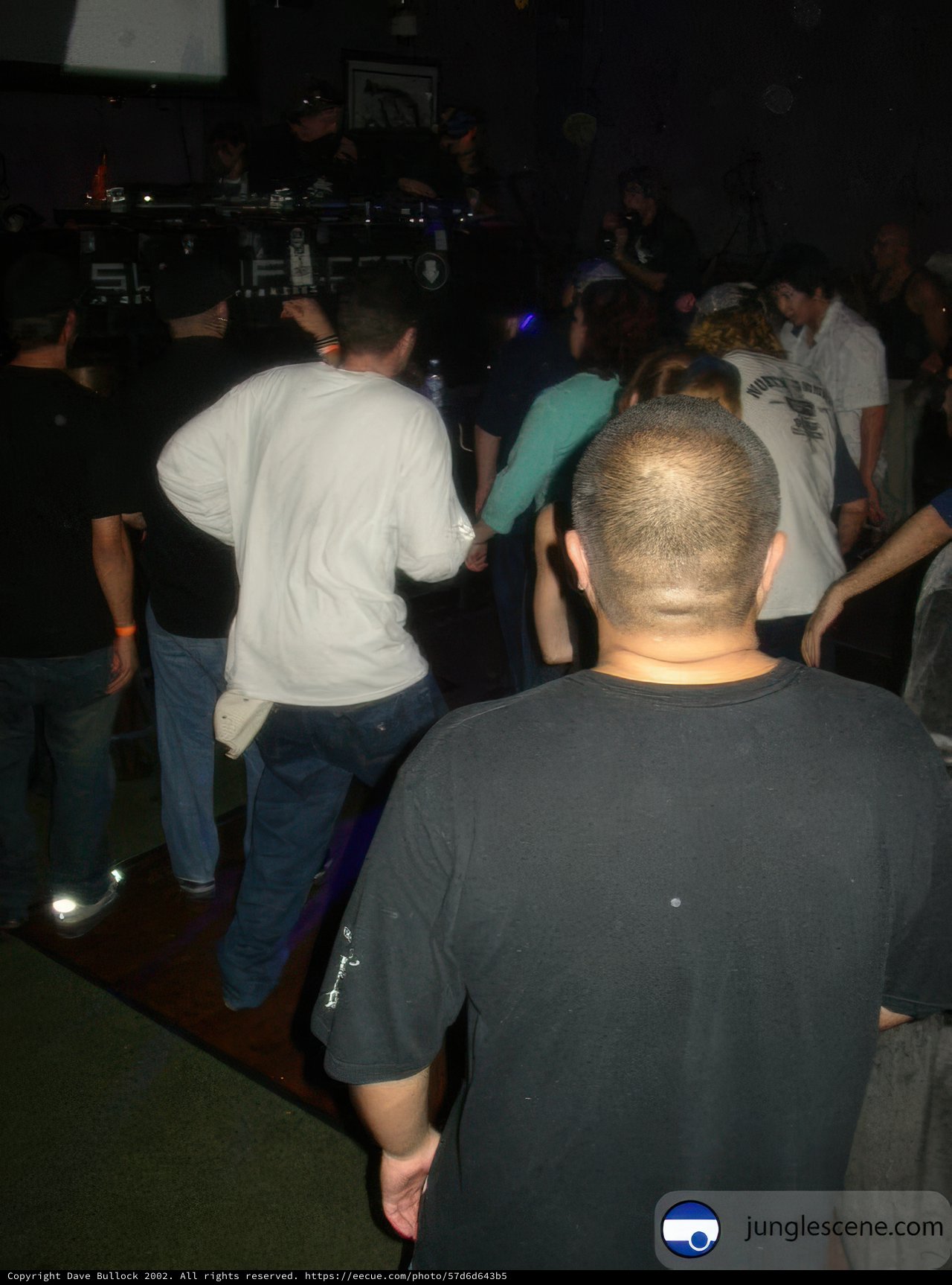 Nightclub Crowd