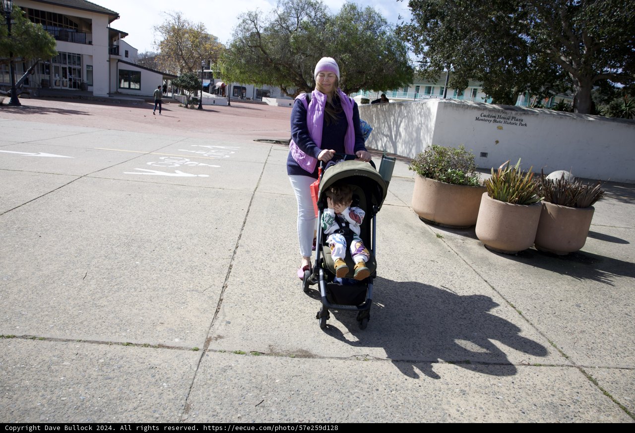 Strolling through Monterey: A Mother's Journey