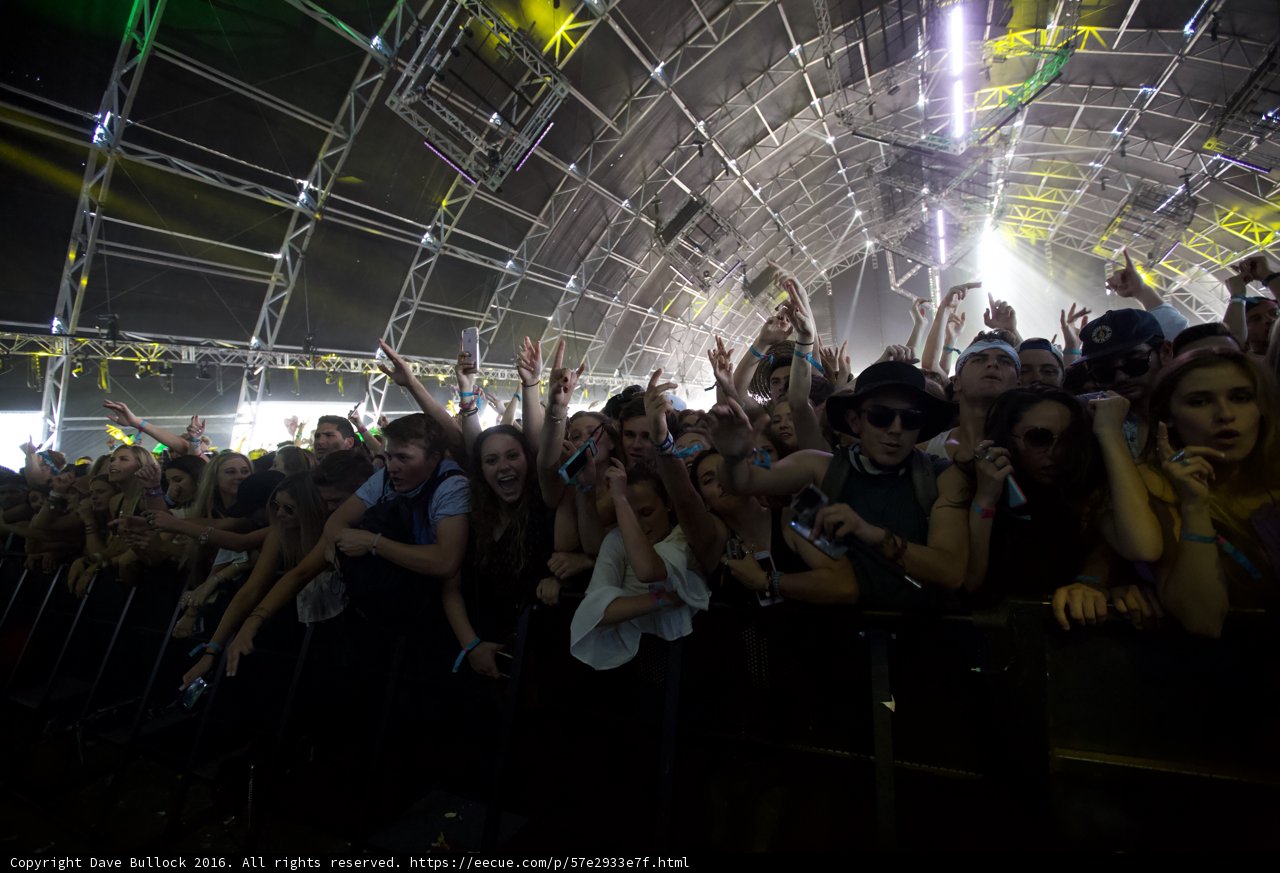 Coachella 2016 Concertgoers Reach for the Stars