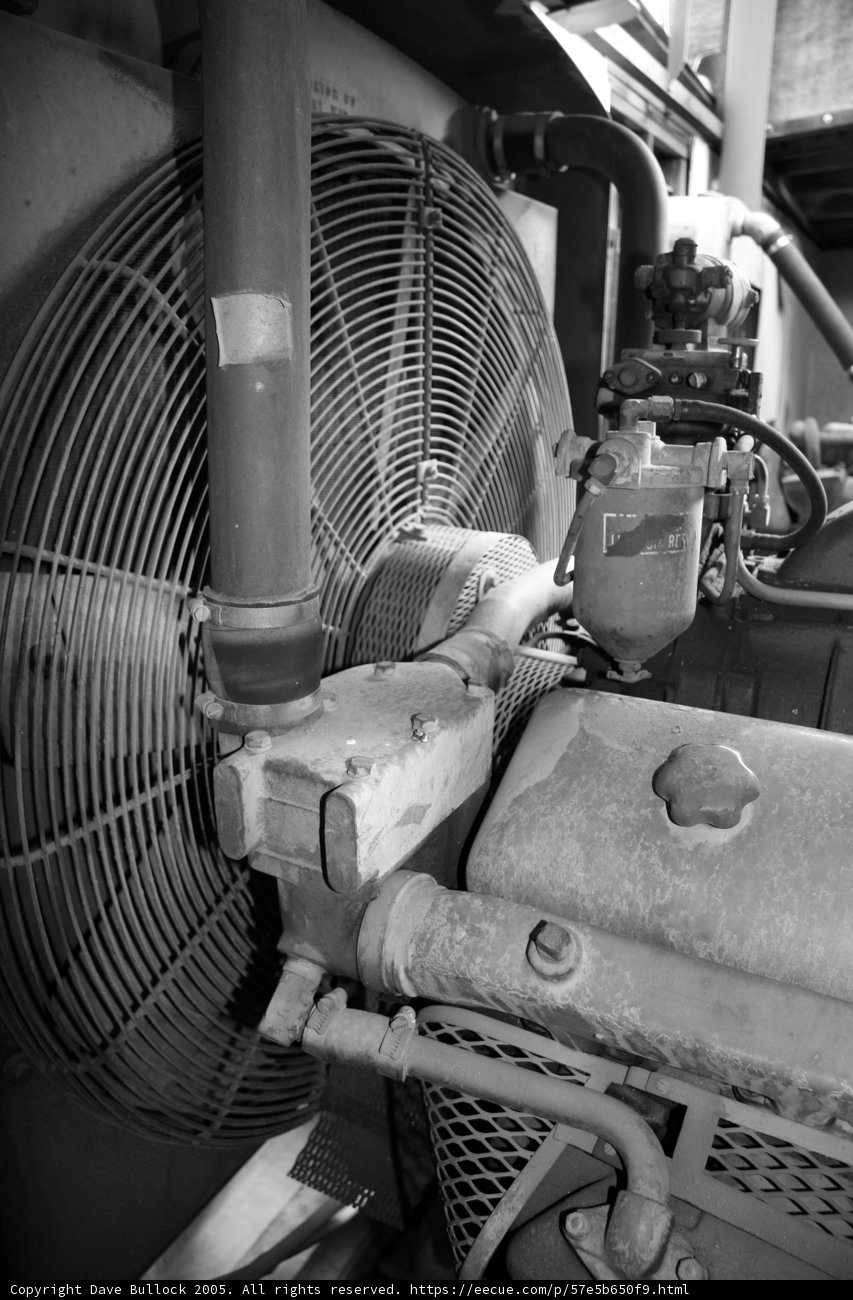 Contrast of Fans