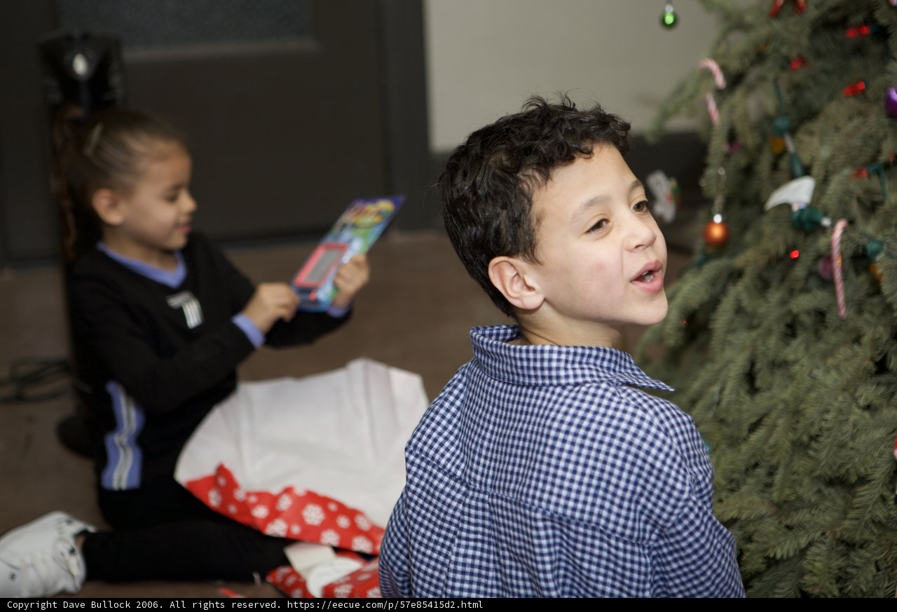 Christmas Joy