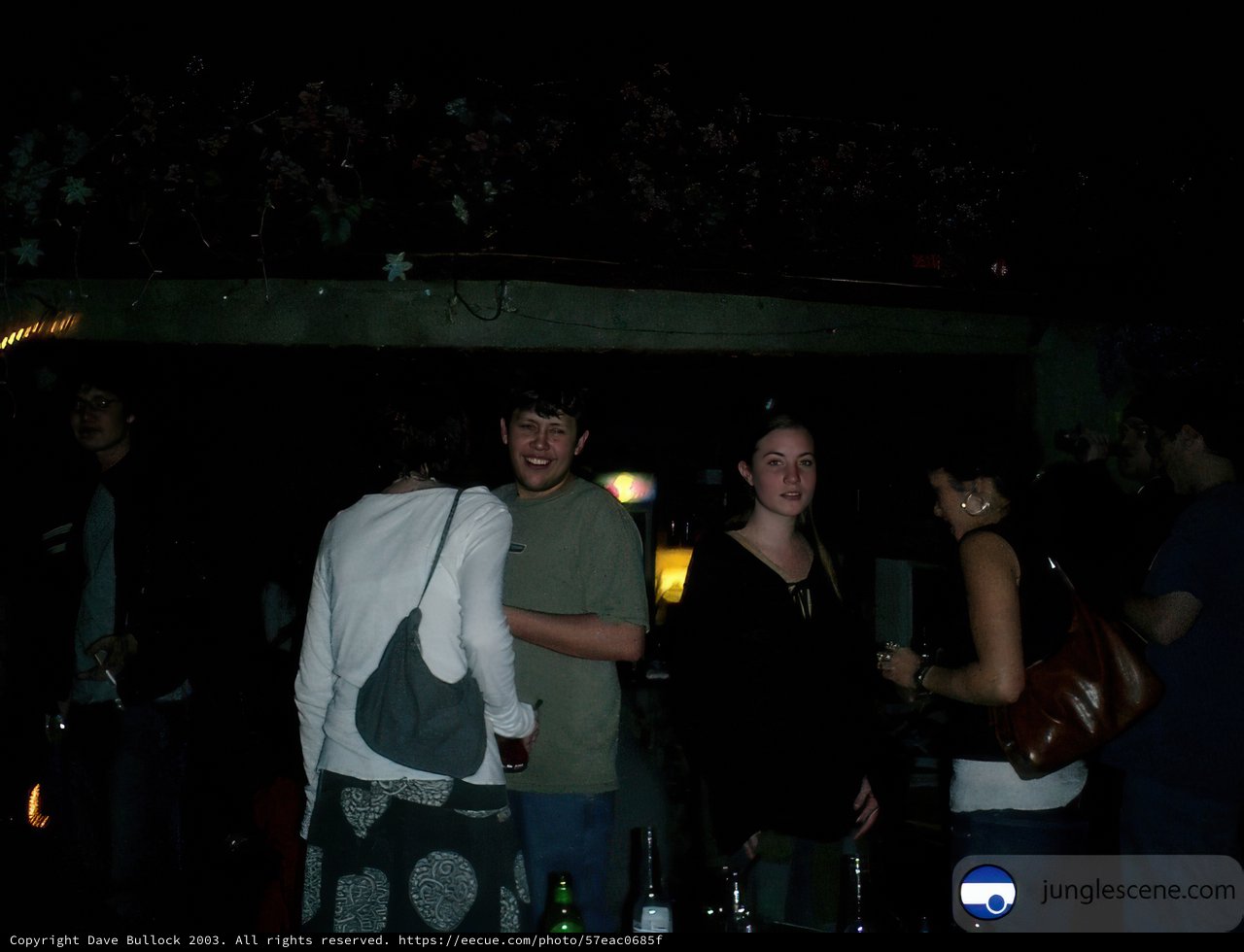 Nightlife Revelry at the Urban Pub