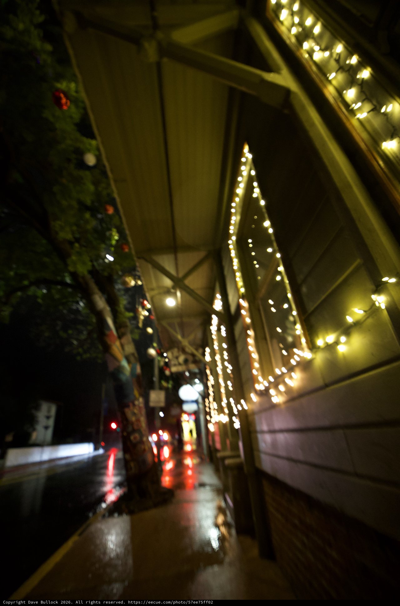 Festive Night Street Scene with Holiday Lights