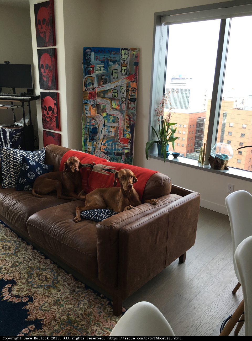 Cozy Brown Leather Couch in a Chic Interior Room