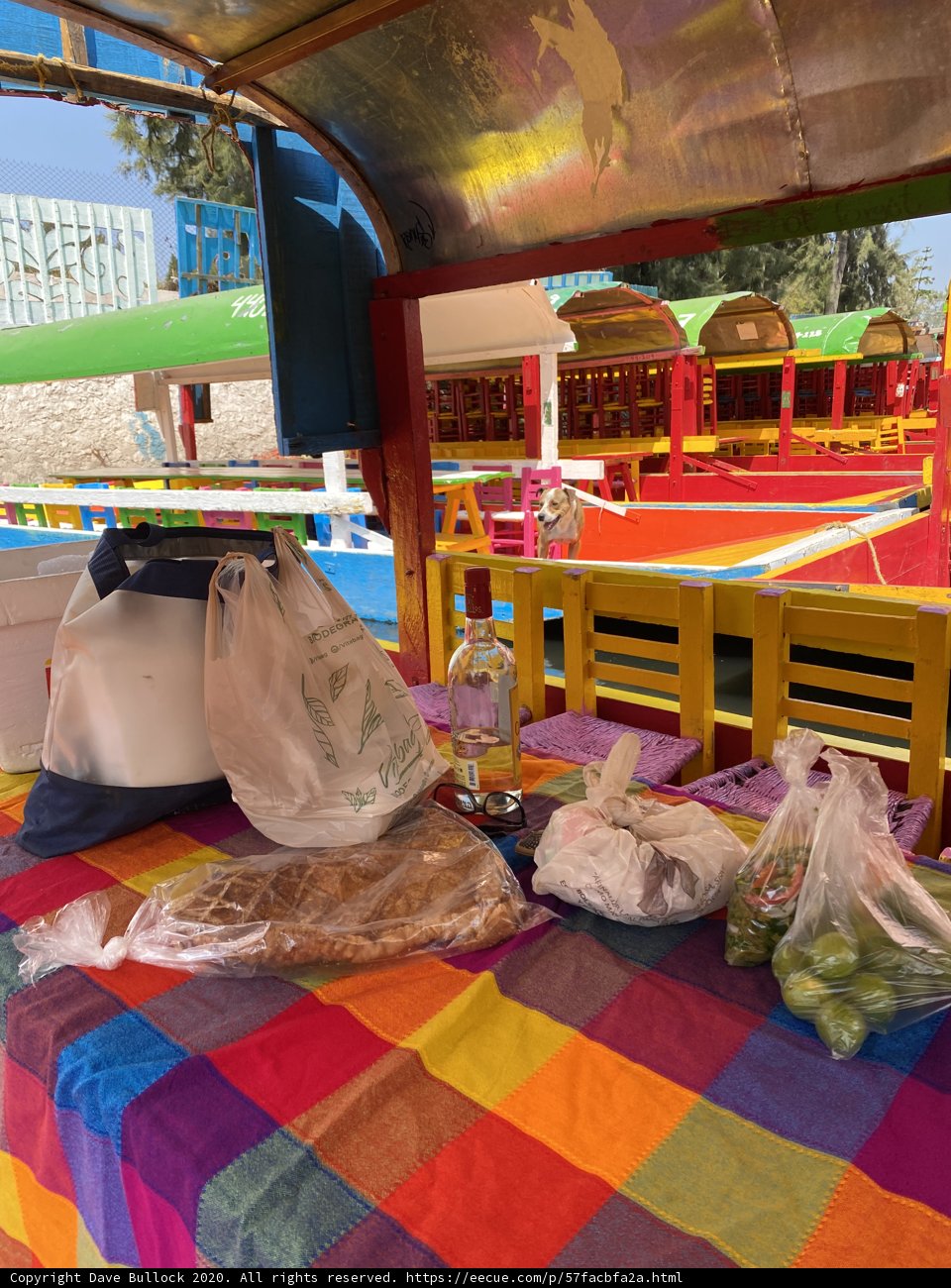 Colorful Feast in Xochimilco