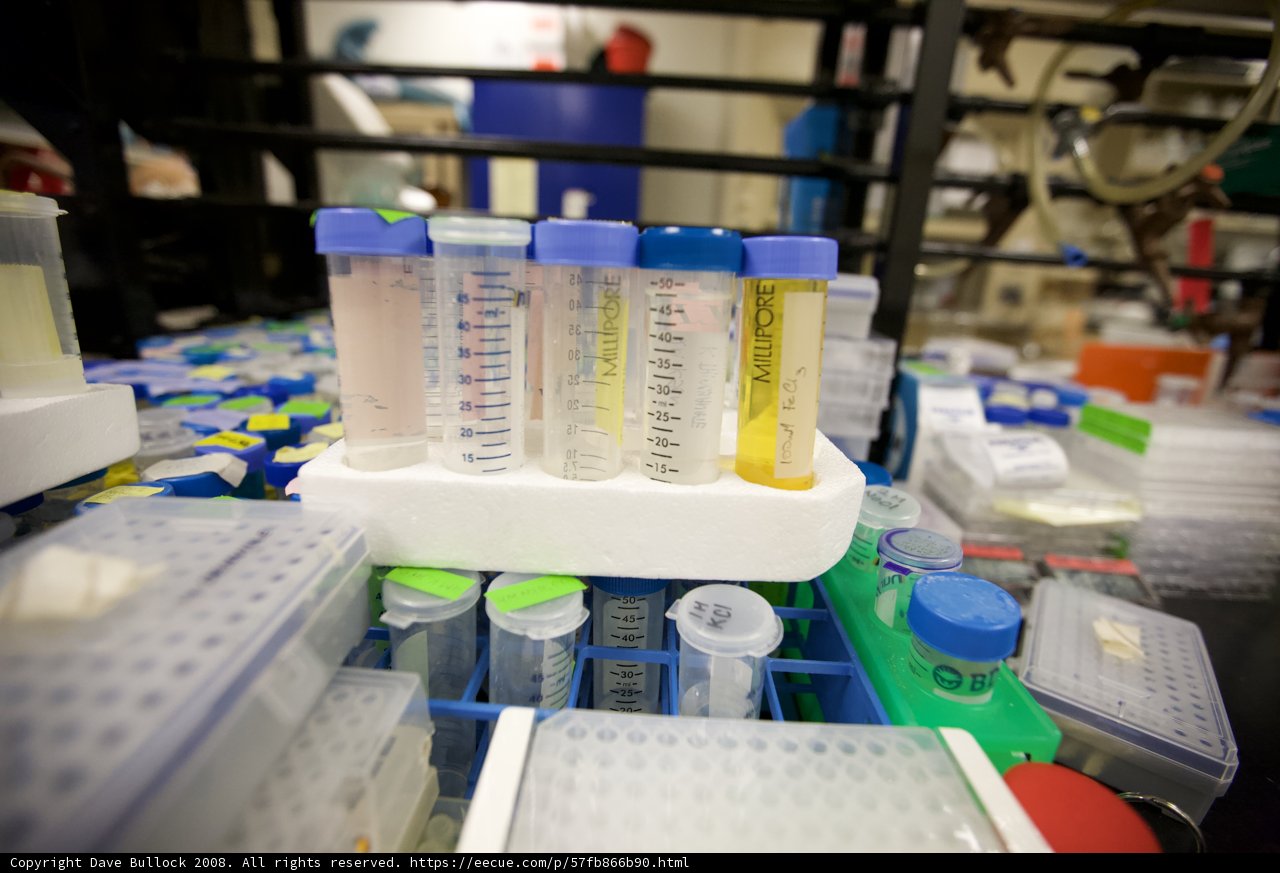 Biotech Lab: A Space Full of Containers and People