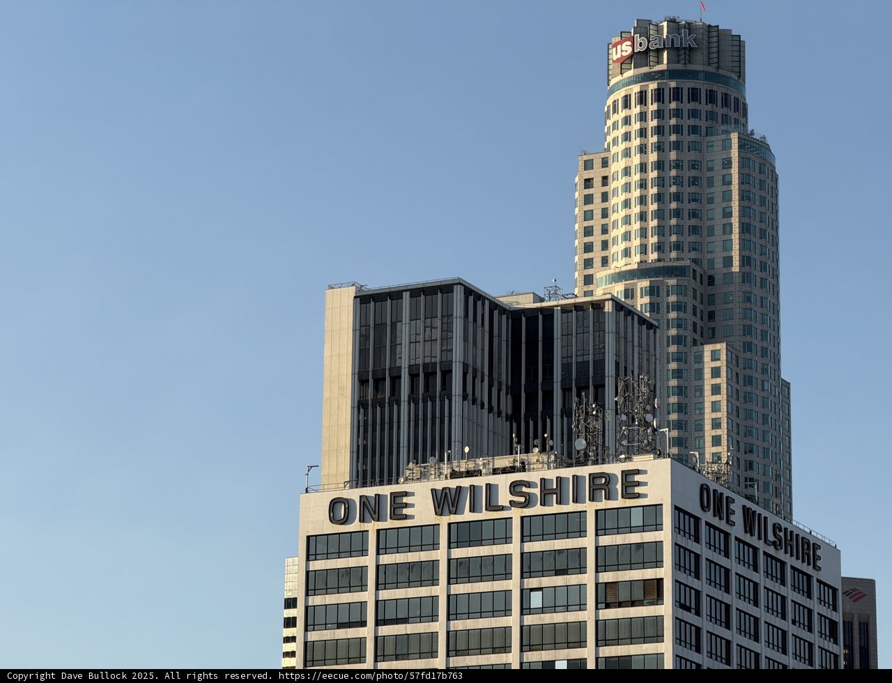 Urban Giants of Los Angeles