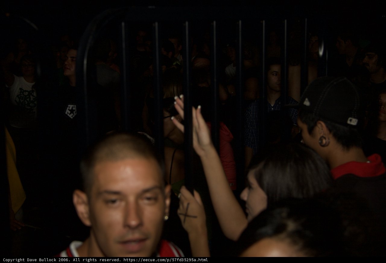 High Energy Concert Crowd