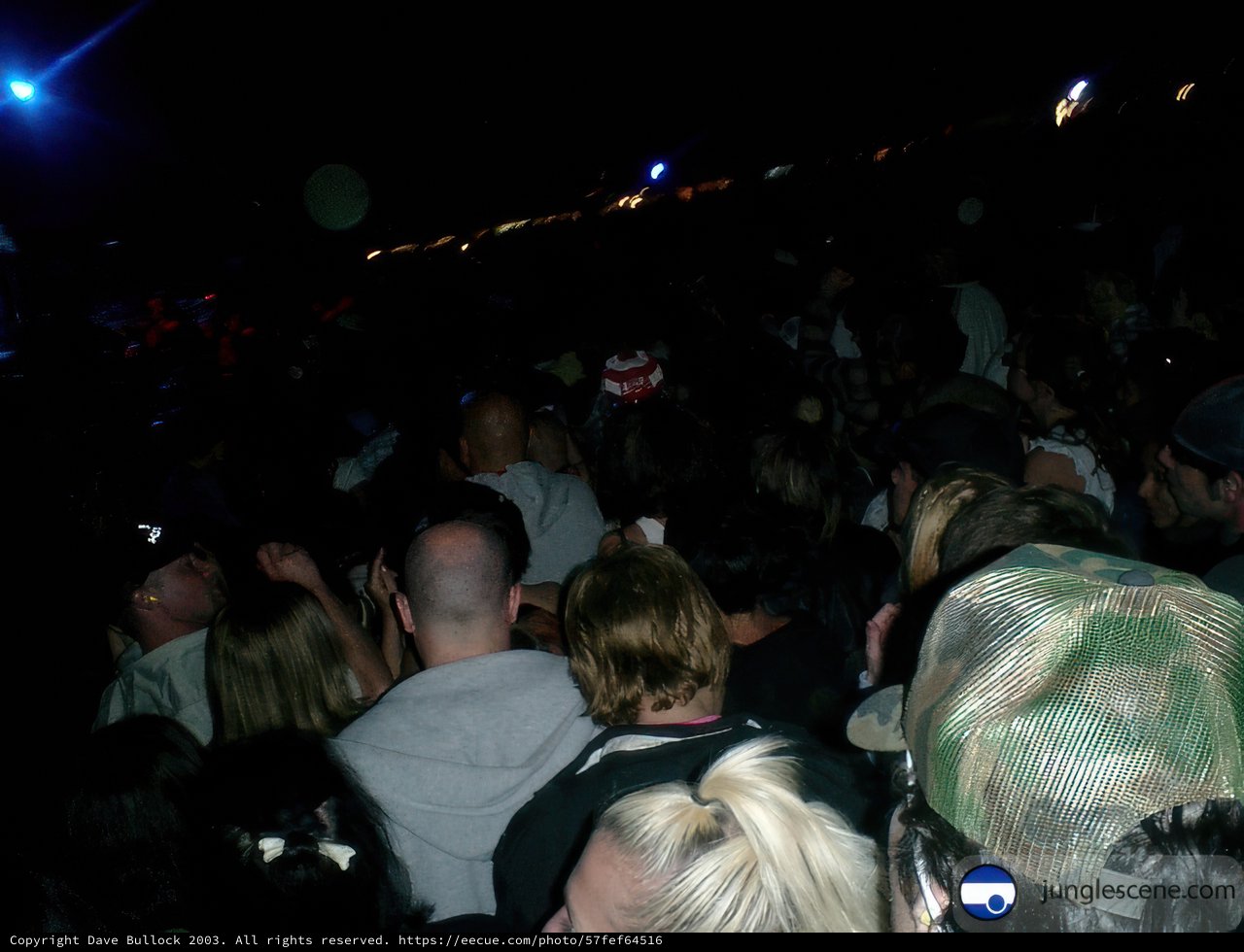Nightclub Crowd at Coachella Concert