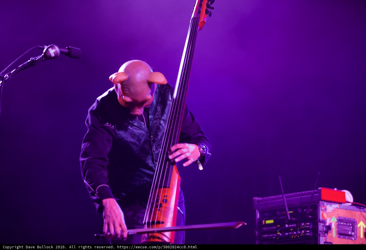 The Bassist Takes the Stage